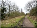 The Trans Pennine Trail alongside woodland