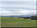 Fields North of Dam House, Standish