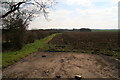 Field margin off Gibbet Lane, north of Buslingthorpe