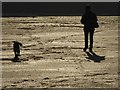 SW8775 : Dog walker, Harlyn Bay by Philip Halling