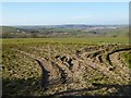 Farmland above St Ingunger Farm