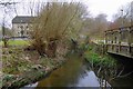 Confluence of Colwell Brook and Emma