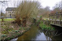 SP3508 : Confluence of Colwell Brook and Emma's Dike, Witney, Oxon by P L Chadwick