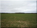 Flat farmland near La Hogue