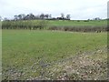 Farmland south of Intake Crescent, Gilroyd