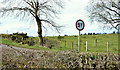 Weight restriction sign, Ballynadolly, Stonyford/Lisburn (March 2016)