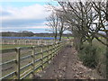 Path from Thompson House Solar Farm to Langtree Old Hall Farm