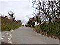 SW7148 : Cornish hedges on the road to Mingoose by David Smith