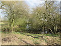 Pond  at  Fangfoss  Grange