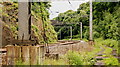 Disused Track, Newlay to Calverley, Leeds