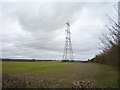 Farmland and pylon off Mill Road