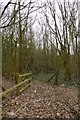 Footpath off Thorley Lane