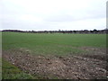 Farmland off London Road (A1304)