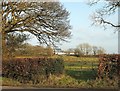 Gate by Thorndon Cross