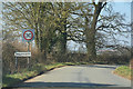 Mid Devon : Country Lane