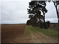 Farm track off the A1304