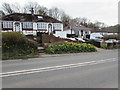 Daffodils and bungalows, Caerleon Road, Newport