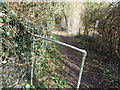 Path by the side of allotments