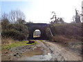 Track under railway to allotments, Chawson Lane, Droitwich