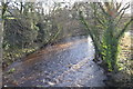 River Nidd