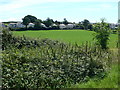 Nearing Caernarfon on the Wales Coast Path