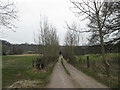 Lane towards Grange Farm