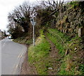 Track ascending from New Road Hangberry in Central Lydbrook