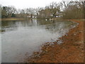 Alexandra Lake, Wanstead Flats