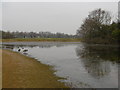 Alexandra Lake, Wanstead Flats