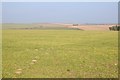 SW8055 : Rolling farmland near Rejerrah by Philip Halling