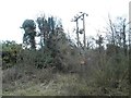 Electrical junction on Ridgeway, Chinnor