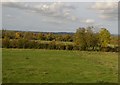 Countryside, Coulston