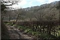 Track along the West Looe valley