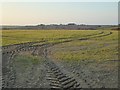 Arable land at St Ervan