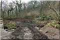 Disused pond by River Erme