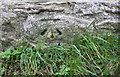 Benchmark on Church Lane wall