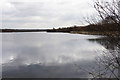 SE9208 : Ashby Vile (pond) by Ian S