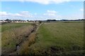 Drainage ditch and grazing near Strathaven