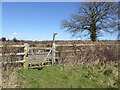 Bridleway reaches Grouse Road