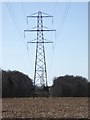 TQ2532 : Looking along line of pylons by Shazz