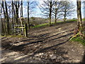 Footpath junction on Cartersledge Lane