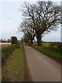 On the lane towards Ercall Heath