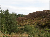 NR7641 : Forest edge above Allt Deucheran by John Ferguson