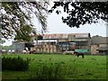 Horses and barns at Little Greencroft