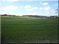 Crop field near Pirton