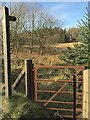 Footpath to Afon Pyrddin