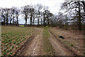 Opencast Way towards Holme Lane