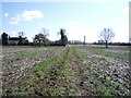 Bridleway towards Fielden Court