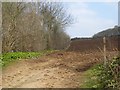 Hedge and ploughed field, from Lesingey Lane