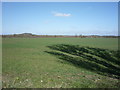 Farmland off Barton Road